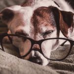 Read this if you feel tired to the bone